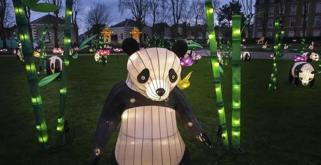 photo  l’odyssée lumineuse démarre ce week-end au parc théodore-monod.  &copy;  archives le maine libre – denis lambert 