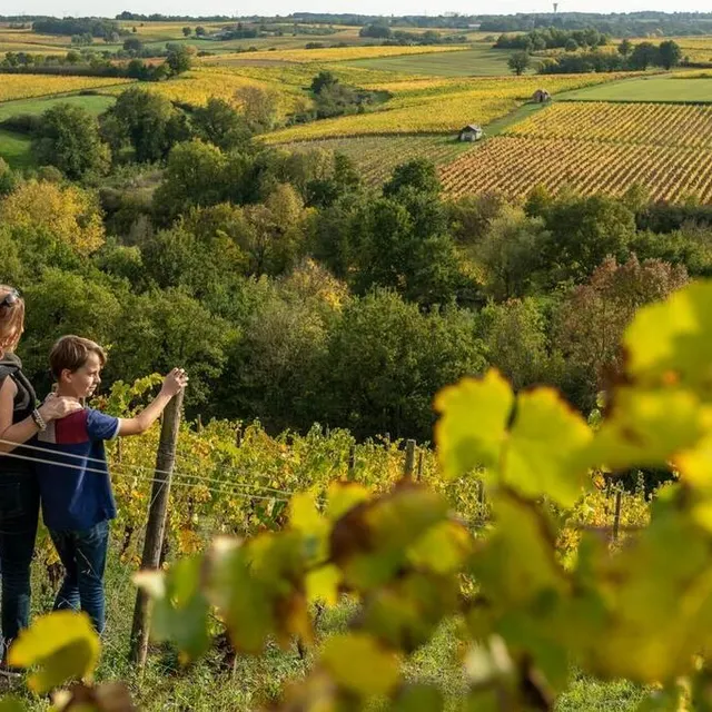 photo randos au grand air le pont barré, à beaulieu-sur-layon.  ©  sebastien gaudard