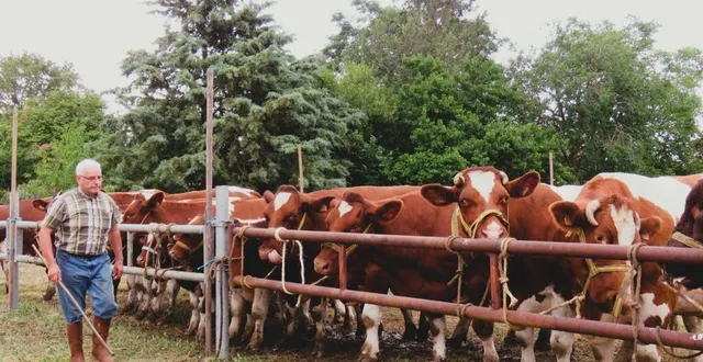 photo  le président michel david, sur le terrain dès l’installation des exposants lors du comice 2023.  &copy;  archives ouest-france 