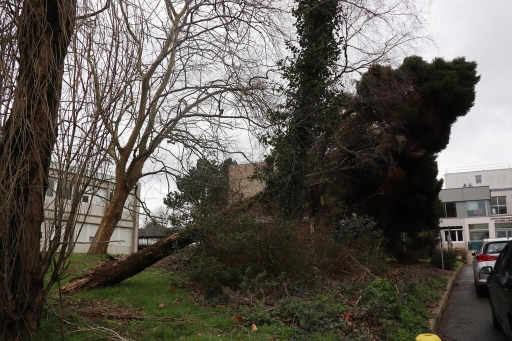 Coup De Vent Des Rafales De Vent De Plus De Km H Enregistr Es Dans Les C Tes Darmor