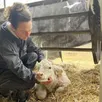photo  « je ne me voyais pas vivre sans animaux » : à 31 ans, pauline jouy est devenue gérante d’une exploitation de 200 vaches et taurillons à sargé-lès-le-mans. 