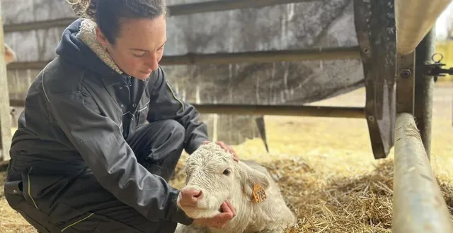 photo  « je ne me voyais pas vivre sans animaux » : à 31 ans, pauline jouy est devenue gérante d’une exploitation de 200 vaches et taurillons à sargé-lès-le-mans.  &copy;  ouest-france 