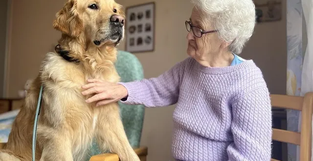 photo  « sparrow », le chien en charge de la médiation animale à l’ehpad d’écouché-les-vallées (orne).  &copy;  ouest-france 