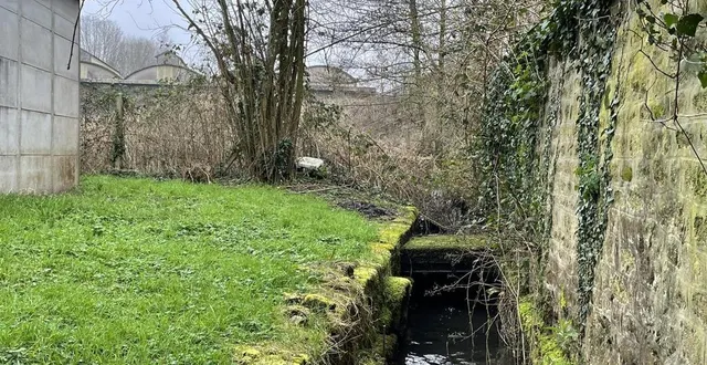 photo  les analyses qui ont été effectuées dans le cours d’eau la planchette, à saint-georges-des-groseillers, ont révélé la présence de pollution.  &copy;  ouest-france 