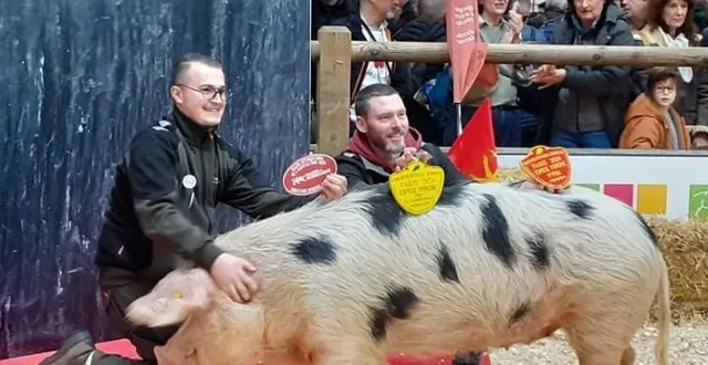 photo  samantha, la truie bayeux de l’arche de la nature, a remporté un premier prix au salon de l’agriculture. ici, elle pose avec les fermiers de l’arche, baptiste et romain.  &copy;  photo arche de la nature 
