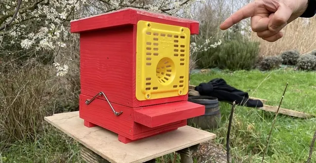 photo  ce piège confectionné par l’association robida est très efficace pour lutter contre le frelon asiatique.  &copy;  le maine libre 