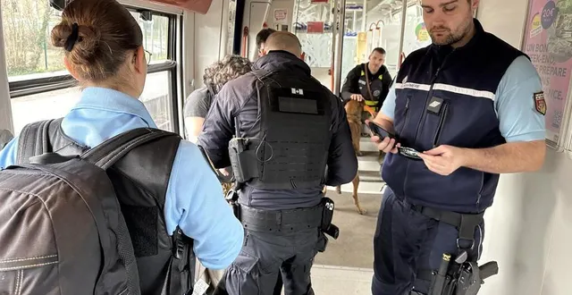 photo  comme ici dans le ter le mans-tours, la gendarmerie sarthoise a voulu « montrer du bleu » pour effectuer des contrôles et « rassurer la population », à l’occasion de l’opération « place nette » qui vient d’avoir lieu durant trois jours sur tout le département.  &copy;  ouest-france 
