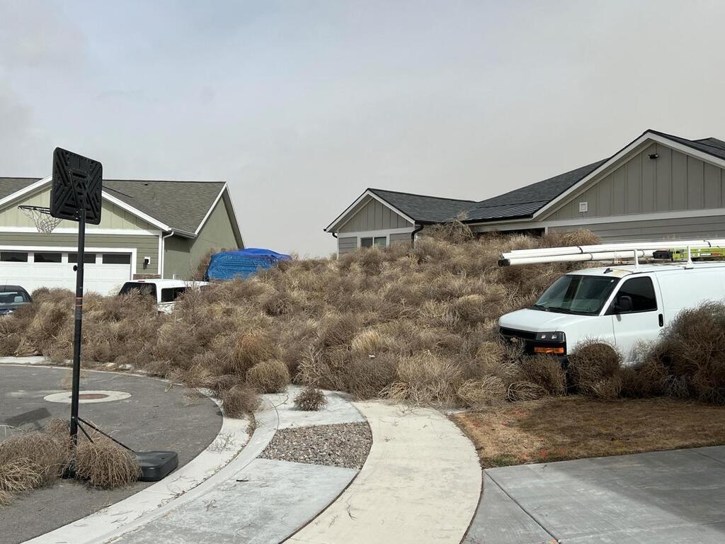 Cest Quoi Ces Tumbleweeds Qui Envahissent Les États Unis Comme