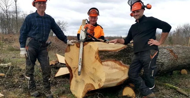 photo  michel et daniel pichon ainsi que vincent visdeloup présenteront leur métier de bûcheron.  &copy;  ouest-france 