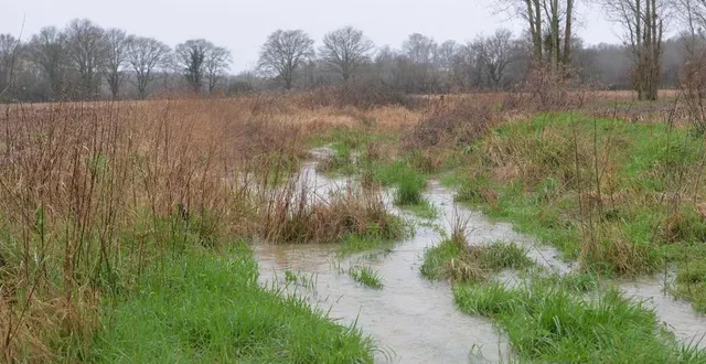 photo  le début de la portion du cr 20 incriminée, au lieu-dit le grand-aunay, le 22 février. à partir des arbres à droite, le dénivelé augmente et le courant aussi.  &copy;  le maine libre 