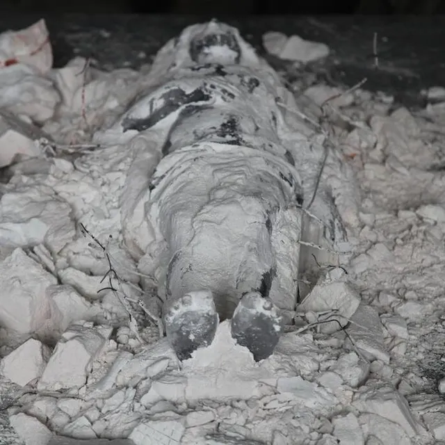 photo l’œuvre cristallisation ii, 2013  ©  pascal convert