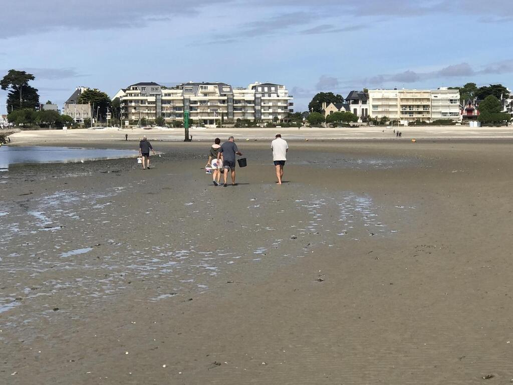 Coefficient, pêche, submersion… Ce quil faut savoir sur les grandes marées  en - La Baule.maville.com