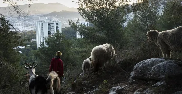 photo  les fermes urbaines de marseille, une série d’edwige lamy à l’éolienne, à arnage.  &copy;  edwige lamy 