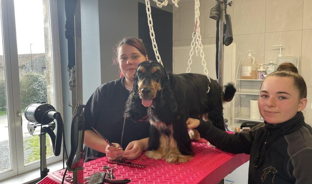 Mouchamps. Un salon de toilettage pour chiens et chats Les