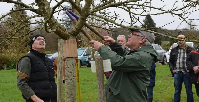 photo  claude, yves et daniel ont expliqué les principes de base pour tailler et entretenir les pommiers.  &copy;  ouest-france 