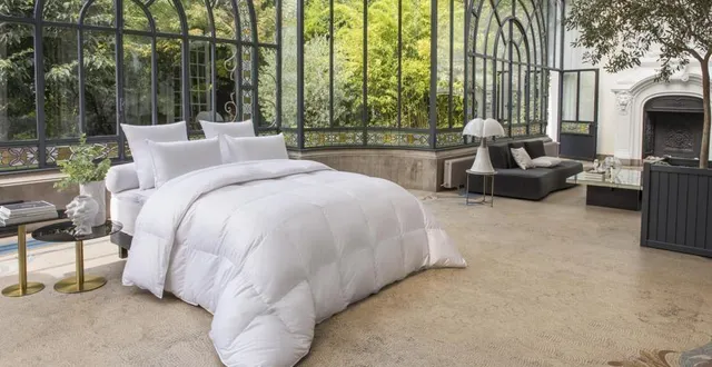 photo  drouault brade ses couettes de luxe au mans vendredi et samedi.  &copy;  drouault 