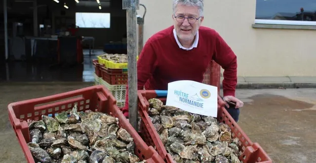 photo  le président du comité régional de la conchyliculture (crc) thierry hélie se félicite de l’igp (indication géographique protégée) obtenue par l’huître de normandie qui, selon lui, va désormais être encore mieux reconnue pour sa qualité.  &copy;  ouest-france 
