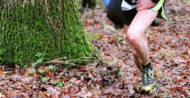 photo  vigilance sur les itinéraires de trail sarthois. les intempéries de ces derniers jours ont détrempé les sols.  &copy;  ouest-france 