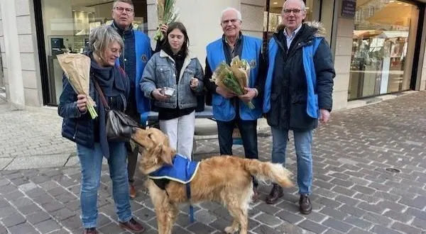 photo  la caisse du stand de vente de tulipes du lions club, installé devant la basilique d’alençon, a été dérobée vers 12 h, samedi 16 mars 2024.  &copy;  lions club alençon cité 
