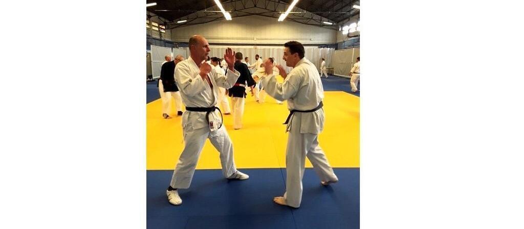 Lorient accueille, ce week-end, la coupe de France de Nihon Taï Jitsu ...