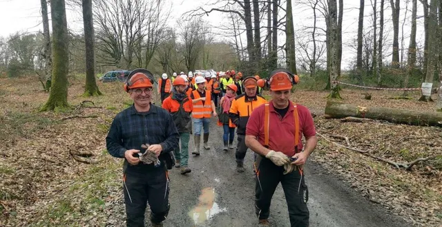 photo  animée par une équipe de forestiers, l’animation vis ma vie de bûcheron a séduit de nombreux curieux.  &copy;  ouest-france 