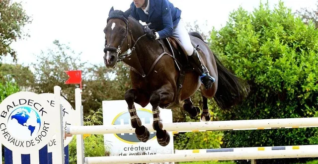 photo  alban notteau, enseignant pour l’ifce au haras du pin, sera présent au cso du haras national ce week-end.  &copy;  archives ouest-france 