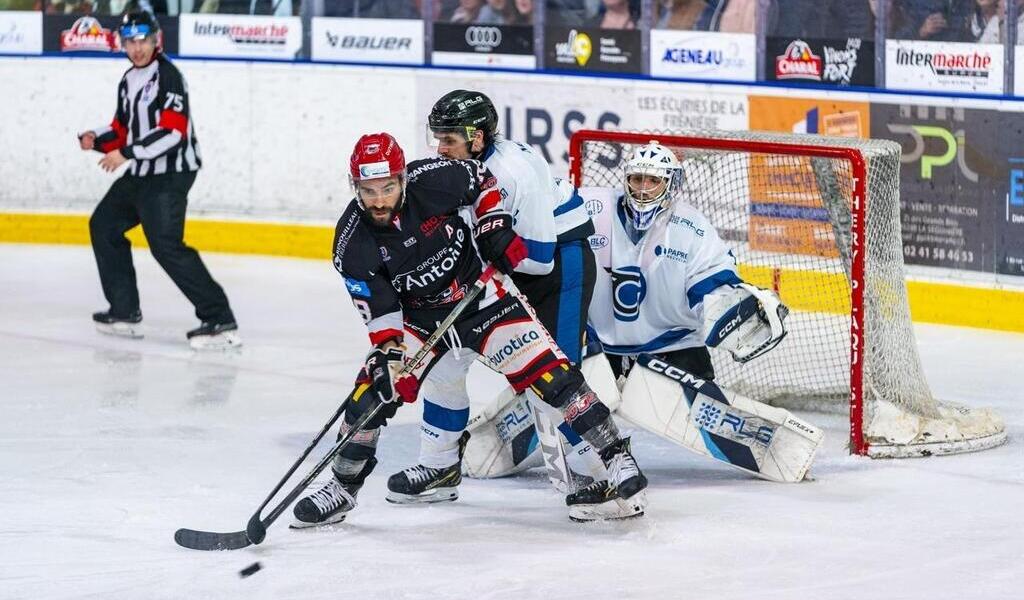 Hockey Sur Glace - D1. Les Dogs Sortent La Tête Haute En Playoffs Face ...