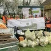 photo  l’engagement de citoyens pour l’opération a permis de nettoyer la nature de 3 m³ de déchets à rouperroux-le-coquet. 