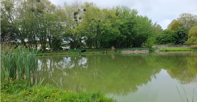 photo  samedi 30 mars, chaque pêcheur pourra prendre huit truites dans le plan d’eau de souligné-flacé.  &copy;  le maine libre 