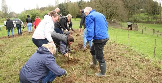 photo  les salariés de l’entreprise marie ont planté 800 arbres au parc animalier d’auvers-le-hamon, avec l’aide de l’association bossy-cévert.  &copy;  le maine libre 