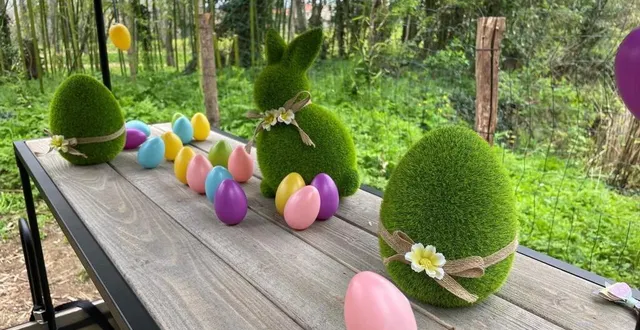 photo  au bioparc de doué-en-anjou, du vendredi 30 mars au lundi 1er avril, les enfants de 3 à 10 ans sont invités à une chasse aux œufs de pâques. un jeu avec récompense, bien sûr !  &copy;  bioparc 