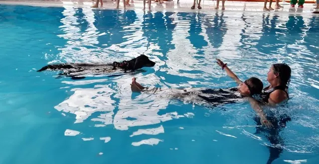 photo  le chien se dirige vers annie pour la ramener au bord de la piscine.  &copy;  co 