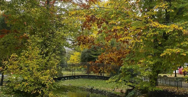 photo  la passerelle qui relie l’îlot du jardin des plantes à la terre ferme duquel sont observables poissons, canards et même cygnes.  &copy;  archives le maine libre 