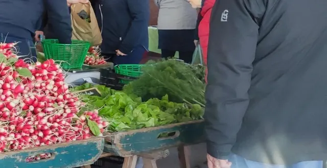 photo  l’étal aux couleurs de printemps de florian paysan, maraîcher du grand-lucé.  &copy;  le maine libre 