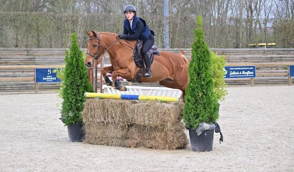 Du hunter équitation et hunter style au pôle international du cheval de