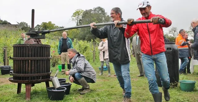 photo  des bénévoles en action au pied du coteau de juigné-sur-sarthe lors de la première vendange de l’association, en octobre 2022.  &copy;  archives ouest-france 
