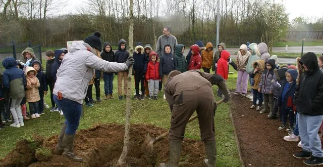 photo  des élèves intéressés par l’arrivée d’un nouveau à l’école.  &copy;  ouest-france 
