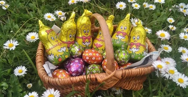 photo  les chasses aux œufs sont encore nombreuses cette année en sarthe.  &copy;  archives le maine livre 