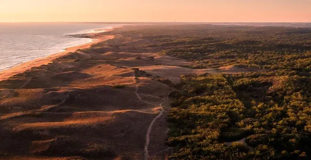 photo  la forêt, les dunes et la plage de sauveterre (vendée) filmées par le drone de simon pastor.  &copy;  simon pastor 