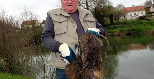 photo  gilbert huet traque chaque jour les ragondins.  &copy;  le maine libre 