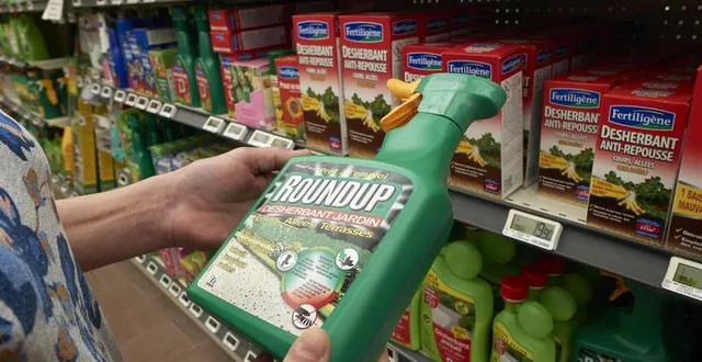 photo  interdit aux particuliers, le bien connu glyphosate reste le pesticide le plus utilisé en france par les agriculteurs.  &copy;  archives jean michel niester / ouest france 