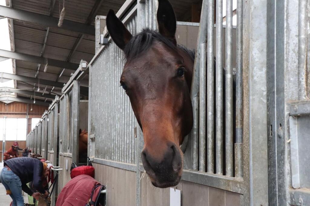 L’hippodrome de Beaumont, à Nort-sur-Erdre, prend un nouveau départ ...