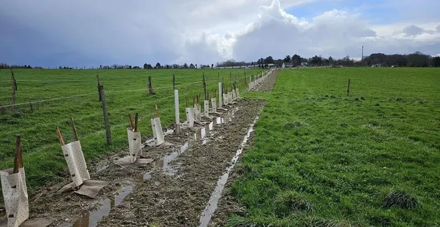 photo  une vaste opération de replantage de haies est organisée par l’edenn.  &copy;  ouest-france 