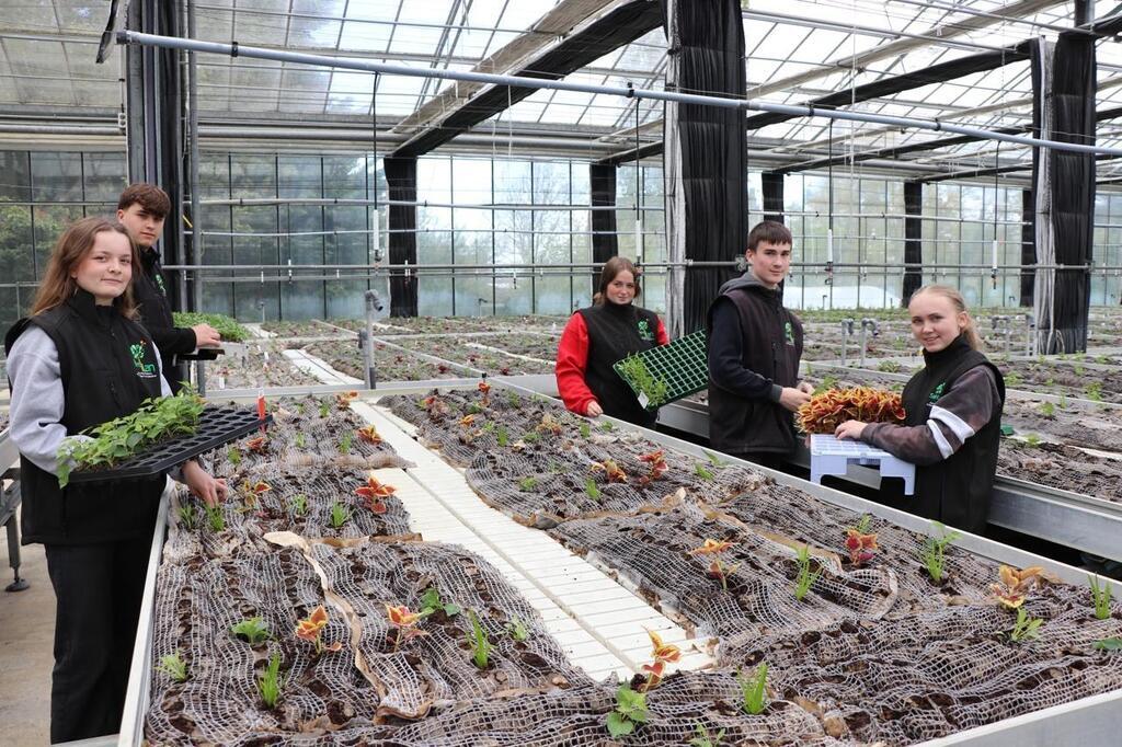 À Langueux, l’école horticole Saint-Ilan accompagne des passionnés vers ...