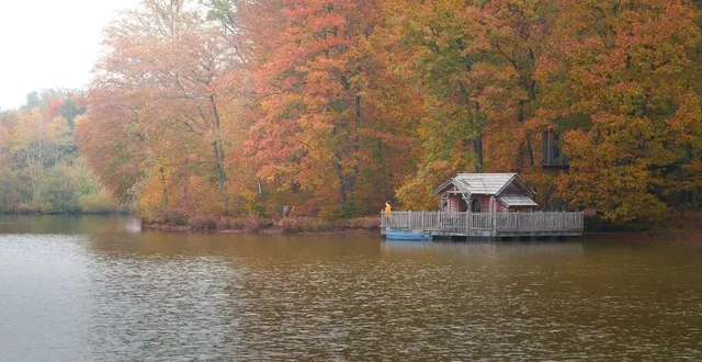 photo  coucoo possède 120 cabanes réparties sur cinq domaines dans trois régions de france. elle souhaite en implanter sur le site du moulin de l’abbaye d’étival à chemiré-en-charnie.  &copy;  alexis marcellin/coucoo 