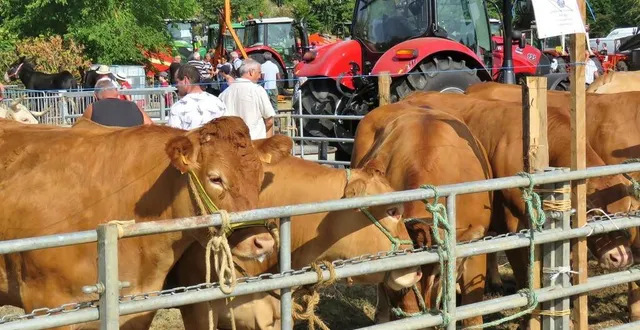 photo  après précigné en 2019 (photo) et parcé-sur-sarthe en 2023, c’est au tour de vion d’accueillir le comice du canton de sablé-sur-sarthe en 2024.  &copy;  archives ouest-france 