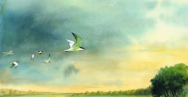 photo  la maison de l’environnement propose actuellement deux expositions sur la bande dessinée « loire » d’étienne davodeau.  &copy;  étienne davodeau 