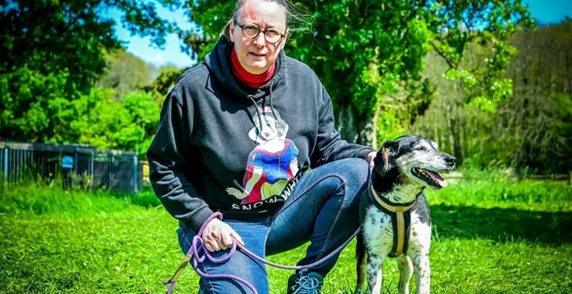 photo  neuville-sur-sarthe, le 23 avril 2024. de nombreux animaux attendent des années avant de trouver une famille. ici, ninnin est à la ldas 72 (ligue de défense des animaux de la sarthe) depuis sept ans.  &copy;  photo le maine libre – yvon loué 