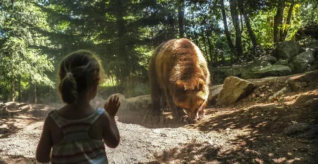 photo  le goûter des ours est à découvrir chaque jour à 15 heures.  &copy;  archives le maine libre – denis lambert 