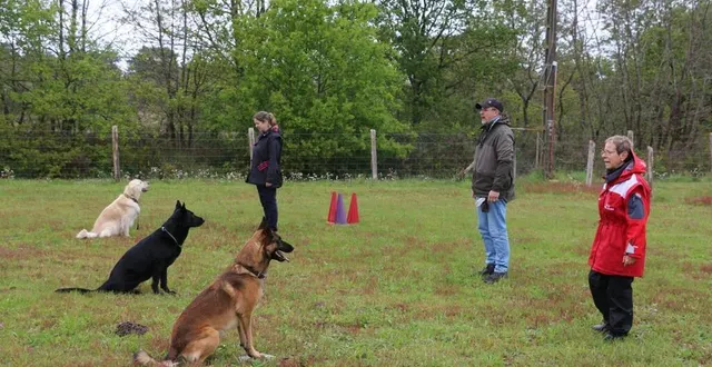 photo  dans ce cours d’obéissance, à l’amicale canine thoréenne, les chiens apprennent à rester assis à un endroit précis.  &copy;  ouest-france 